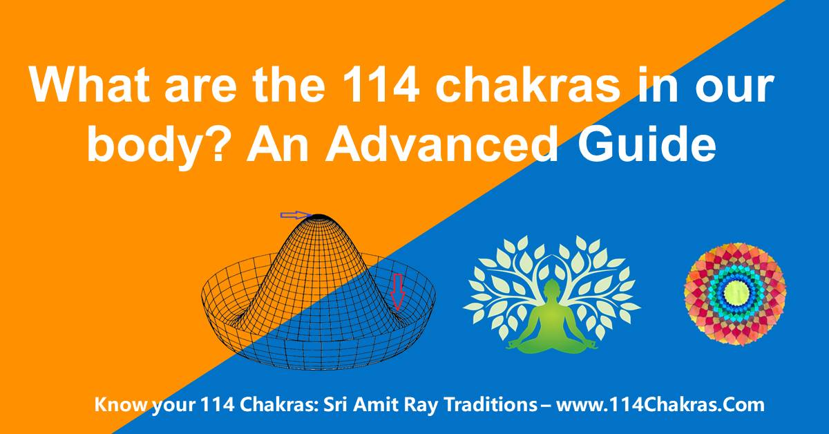 What are the 114 Chakras Sri Amit Ray Traditions