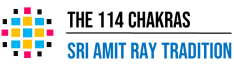 The Ray 114 Chakras World Institute