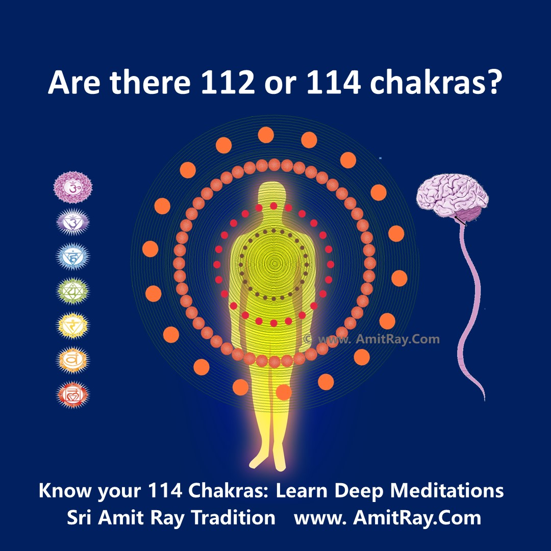 Are there 112 or 114 chakras